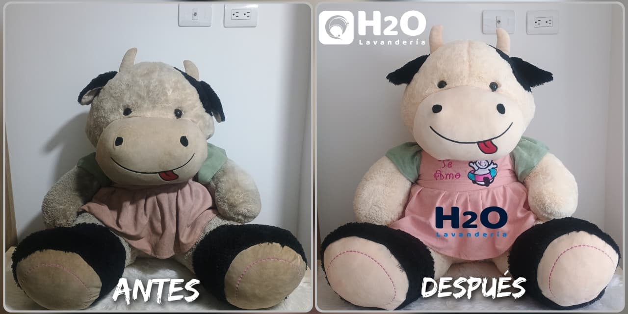 Lavado de Peluches