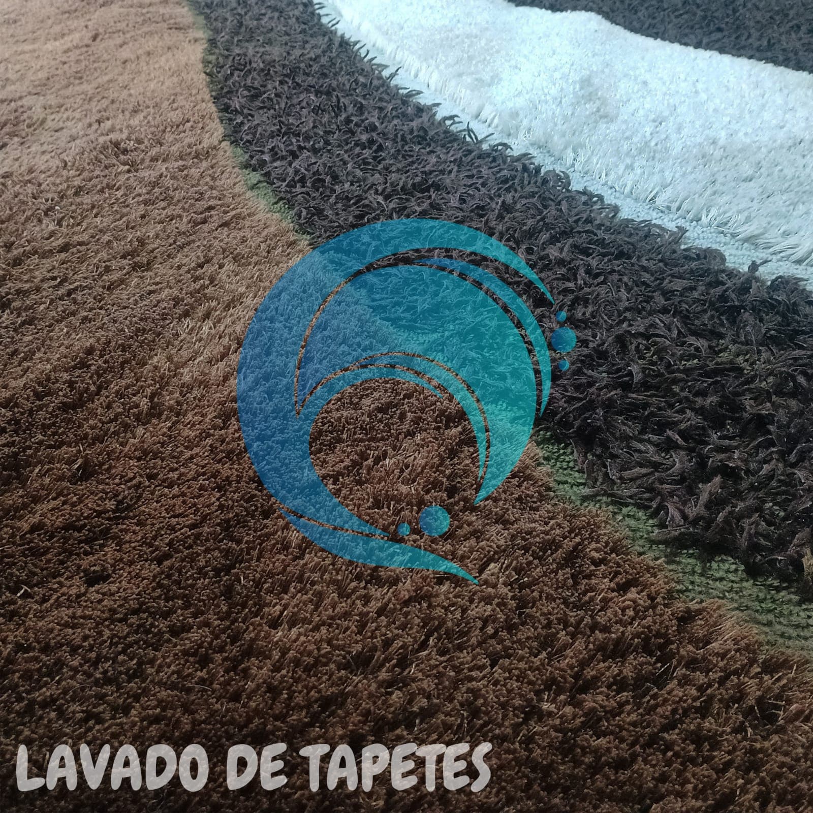 Lavado de Tapetes